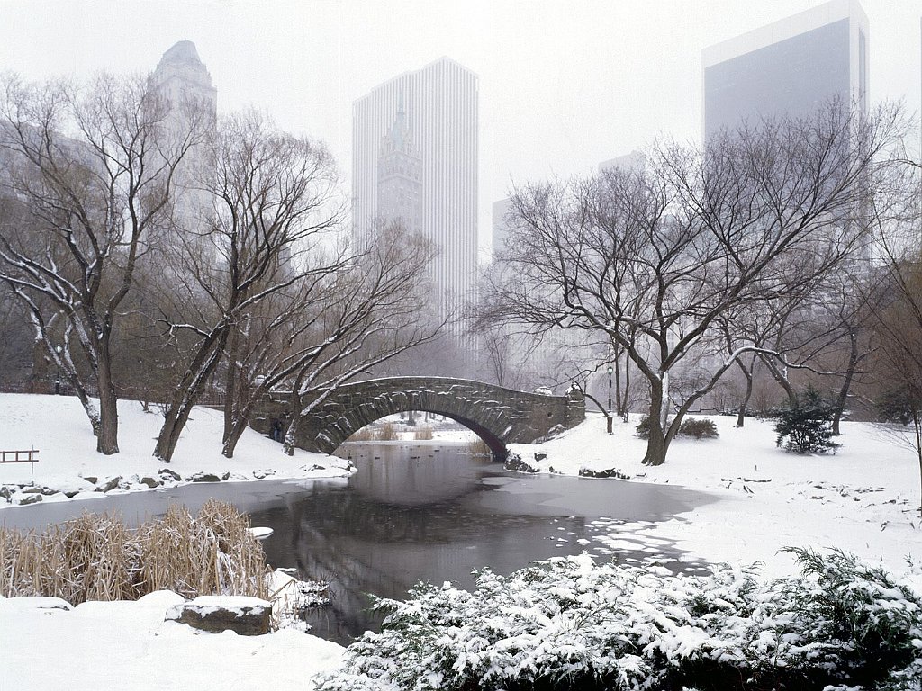 Central Park in Winter, New York City, New York